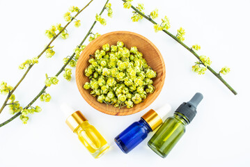Ceratophyllum flowers and essential oils
