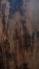 Old rusty door