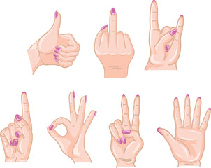Obraz premium A set of 7 female hand gestures. Realistic life like style. Thumbs up victory palm middle finger one rock and ok sign.