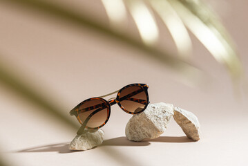 Womens Tortoiseshell frame sunglasses on beige background with golden palm leaf. Trendy sunglasses...