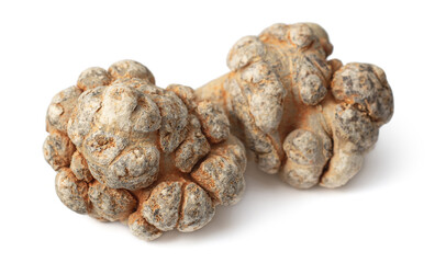 Dried herb, notoginseng roots isolated on white background