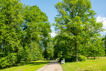 Walking path with a bench on a beautiful sunny summer day in Alexandria Park, Peterhof near Saint...