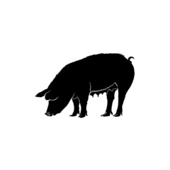 Pig vector icon. Pig silhouette vector. Female pig icon. Pork symbol