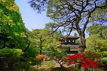 春の銀閣寺