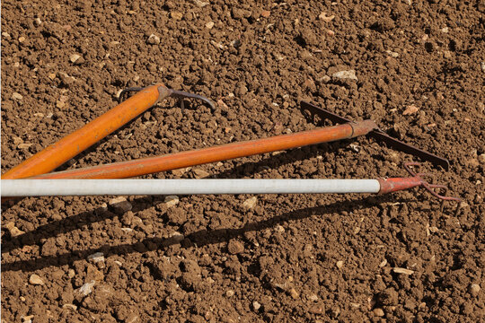 Outils de jardinage plant&eacute;s dans la terre d'un potager