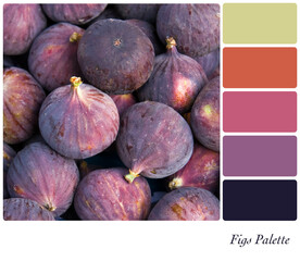 Figs palette with complimentary colour swatches