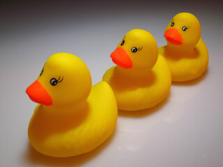 Studio shot of rubber ducks as a symbol of youth,.childhood, humor, cute etc..