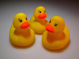 Studio shot of rubber ducks as a symbol of youth,.childhood, humor, cute etc..