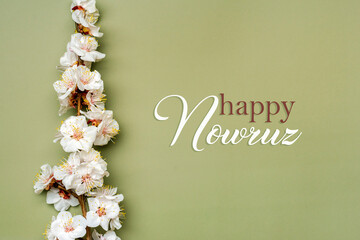 Sprigs of the apricot tree with flowers on green background Text Happy Nowruz Holiday Concept of...