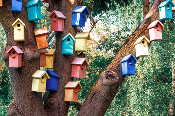  Colorful Bird Houses. Houses for birds. Lodges for a wintering of birds