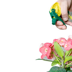 Caring for the environment, man watering flowers