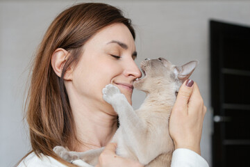 Portrait of a young beautiful woman  hugging kissing with a Burmese cat. Friendship and love between human and pet.