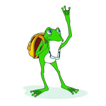 frog illustration vector travel animal green cartoon fun boy