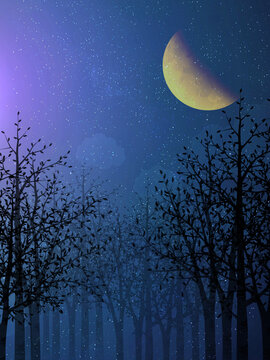 Night Sky Background With Birch Trees And Half Moon Purple Mobile Phone Wallpaper