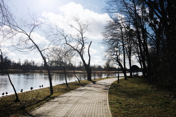 Winter forest park. Sunny scenic landscape. Cold season outdoor walk. Walking trail through the forest. Pavement among lake shore. Natural sunset background.