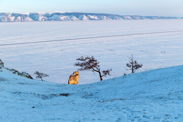 Winter view from hill on frozen baikal lake, siberia