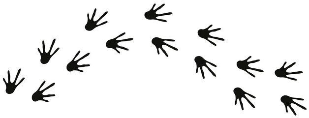 Lizard footprint road in black color. Lacertian step silhouette