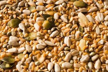 Mixed seeds full frame top view