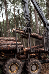 porter or forwarder collecting pine trunks for storage