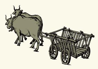 Empty cart drawn by oxen. Vector drawing