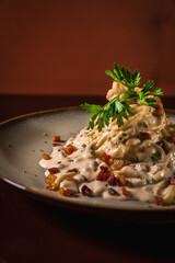 Perfect Pasta Classic Italian Homemade Artisan Bacon Tomato Sauce Sausage Sweet Melted Cheese Onion Chicken Meat Shrimp Menu Gourmet on a Dark Background