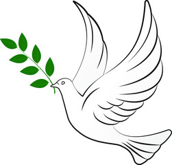 white dove of peace with a green branch