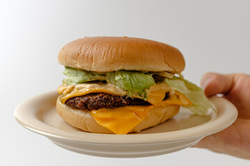 hamburger on a white background