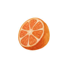 Orange half watercolor. Citrus. Isolated vector illustration.