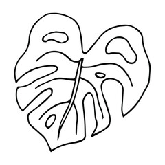 Hand drawn doodle monstera tropical leaf icon on white background. Vector illustration. Rainforest symbol collection Cartoon sketch element: greenery Philodendron Hawaiian Rain Forest Palm Leave