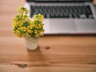 laptop and yellow flower on wooden table