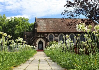Fototapeta na wymiar Path to Anglican church in Knysna, historical building, with white Agapanthus flowers