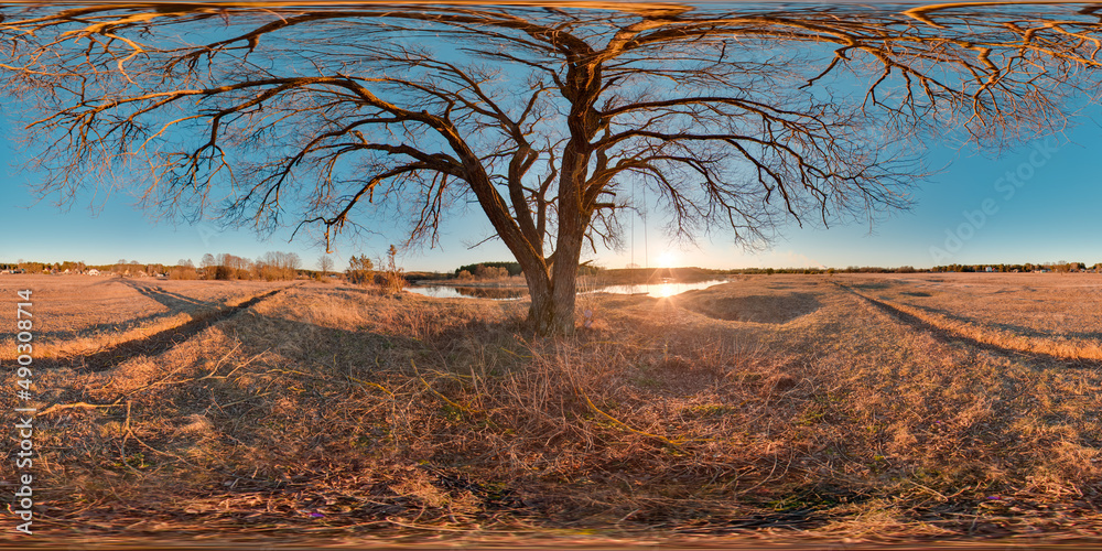 Wall mural amazing landscape with blue sky sunset at spring trees without greens and grass 3d spherical panoram