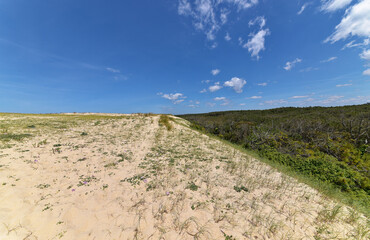 Frankreich - Seignosse - Zugang zum Strand
