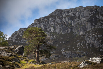 Schottlands wilder Norden