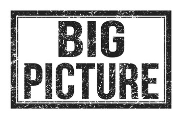 BIG PICTURE, words on black rectangle stamp sign
