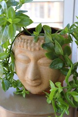 Cordifole pink flower. Aptenia Cordifolia. Succulent, Heartleaf Ice Plant in a buddha planter. 
Buddha Head Ceramic Flower Pots and Planters. copy space.