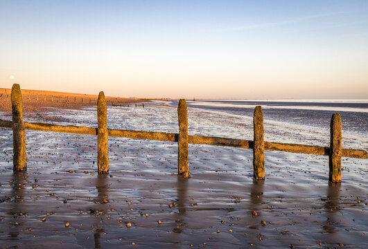 Groynes on a deserted beach at golden hour, Rye Harbour, East Sussex, England