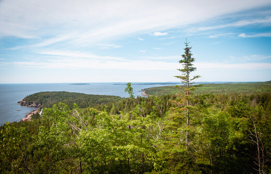 View of the coast of sea from Gorham Mountain, Acadia National Park