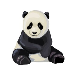 cute little panda smiling abstract portrait, vector illustration, wildlife animal clipart