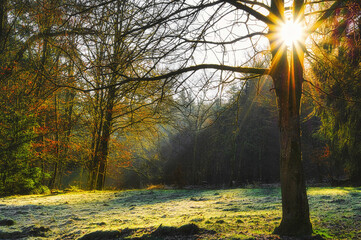 CO2-Neutral - Net Zero 2050