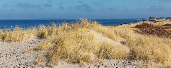 Dünen mit Strandhafer am Strand der Ostsee bei Heiligenhafen, Schleswig-Holstein. Im Hintergrund...