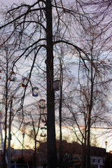 A wooden handmade small birdhouse on top of a dark leafless tree against a clear blue sky during a sunset. A ferris wheel is on the background