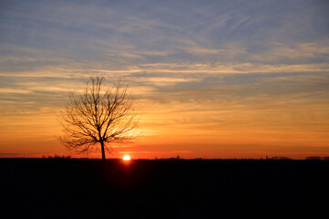 Fototapeta premium sunset in the countryside, Vojvodina