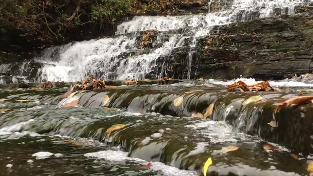 une chute d'eau dans la for&ecirc;t en automne