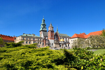 Fototapeta na wymiar Krakow, Wawel castle in spring time, Poland