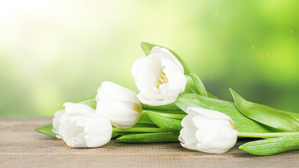 Fototapeta na wymiar white tulips lying on a wooden table on a blurred natural background