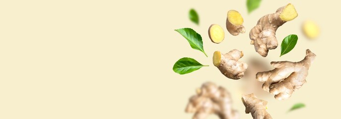 Flying fresh ginger root, green leaves isolated on beige background. Creative food concept. Natural organic ginger for health, medicine, protection against colds. Spice for cooking, ginger to immunity