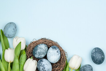 blue easter eggs and white tulips on a light blue background