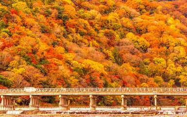 京都　嵐山の紅葉
