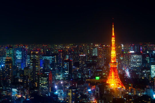 東京夜景 　2019年11月